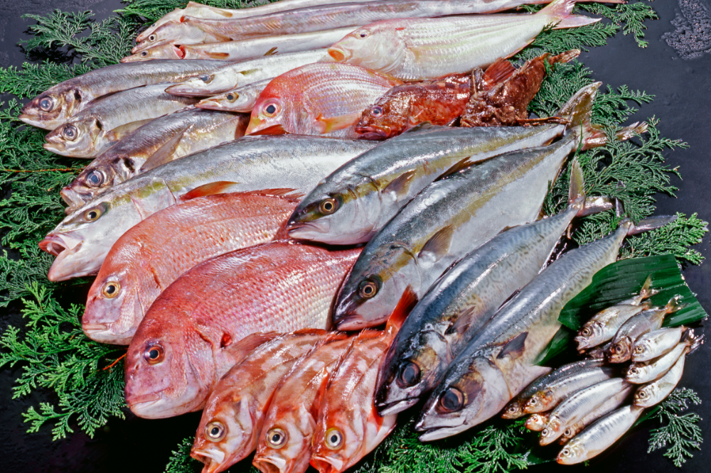 取り置き済みの生の魚を丸ごと一匹配送